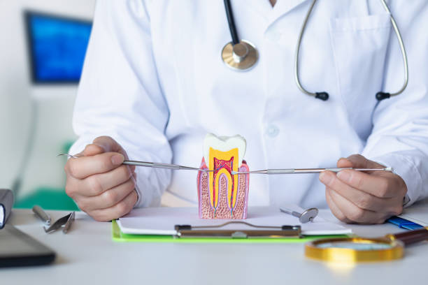 Best Emergency Dental Care for Trauma or Injury in North Branch, MI